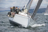 animal gbr3627l kip15 0541w